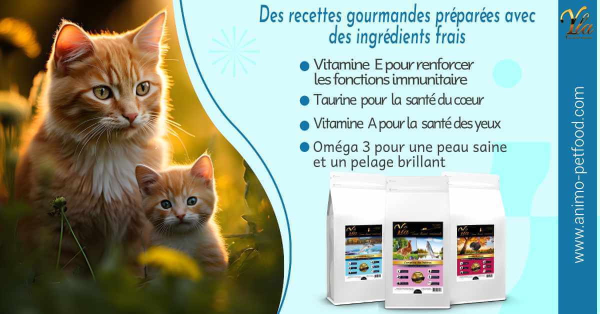 nourriture-sans-cereale-ni-gluten-hypoallergeniques-chat